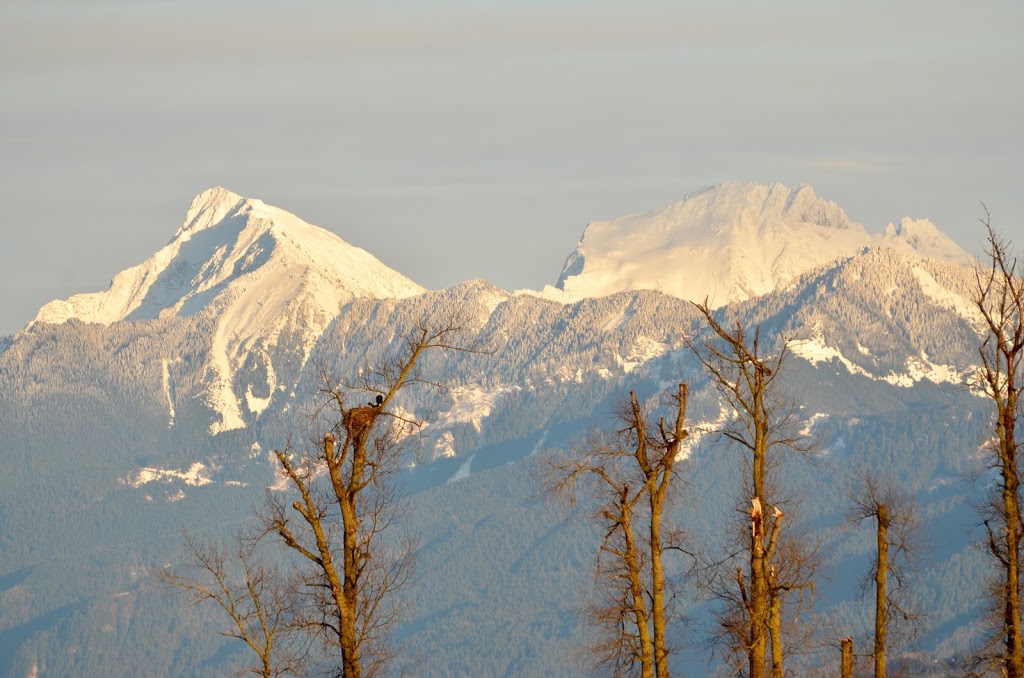 Hougen Park | 2887 Cole Rd, Abbotsford, BC V3G 2K5, Canada