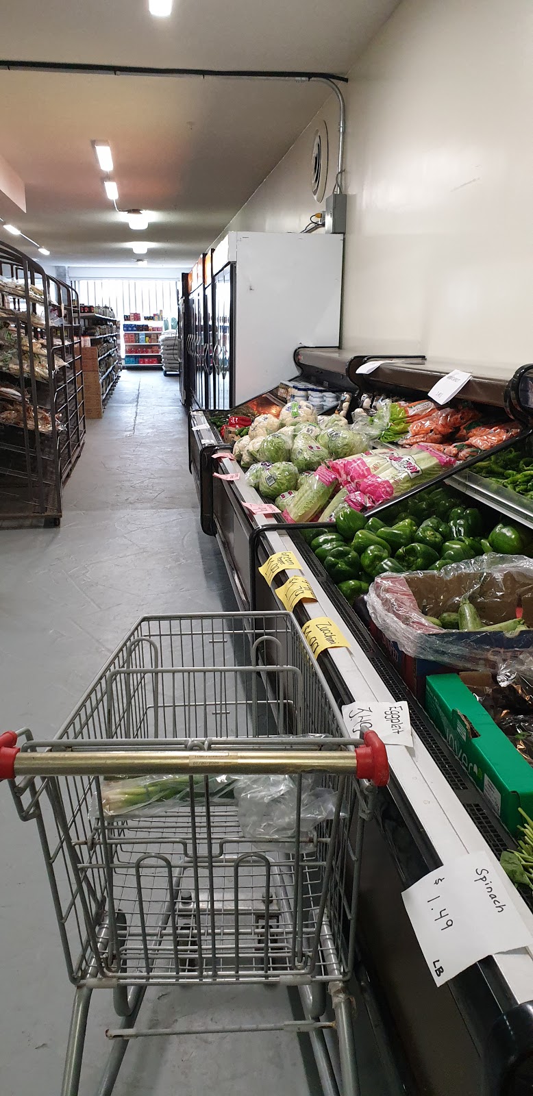 Saltis store | 1095 Fennell Ave E, Hamilton, ON L8T 1S1, Canada | Phone: (289) 639-9000