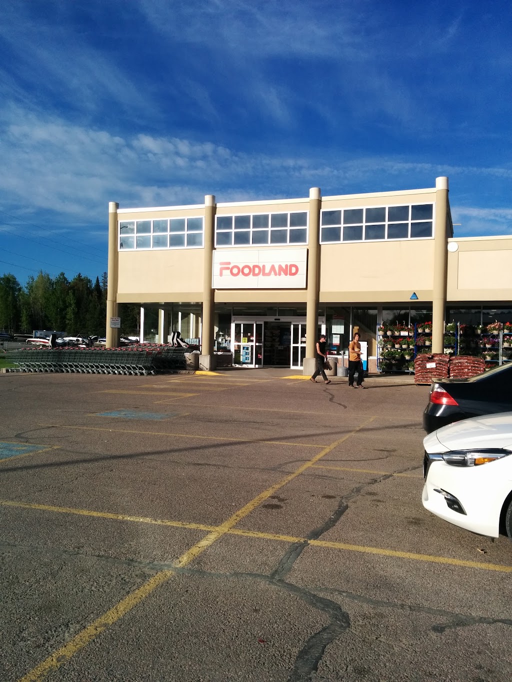 Foodland - Eganville | 8754 ON-60, Eganville, ON K0J 1T0, Canada | Phone: (613) 628-2215