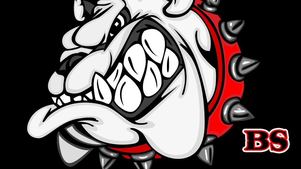 Bulldog Sanitation | 66 Hogarth St, Oshawa, ON L1H 1Y6, Canada | Phone: (289) 830-2765