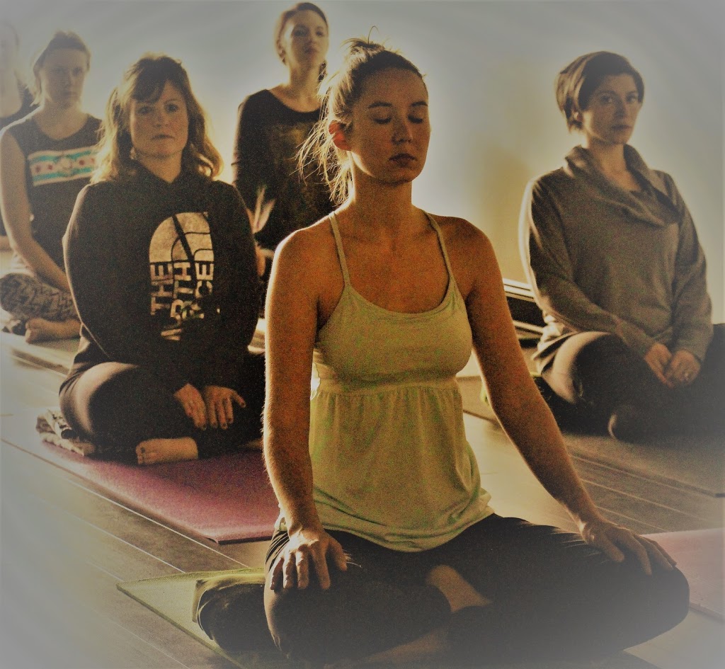 Karuna Yoga Buffalo | 1280 N French Rd, Buffalo, NY 14221, USA | Phone: (716) 432-5857