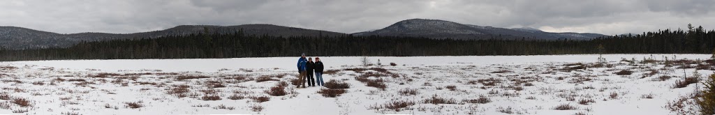 Moose Bog | Island Pond, VT 05846, USA