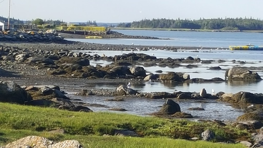 Acadian Fish Processors LTD | 202 DENNIS RD, Middle West Pubnico, NS B0W 2M0, Canada | Phone: (902) 762-2700