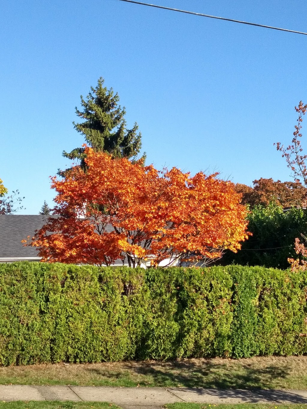 Clinton Park | 2nd St, New Westminster, BC V3L 1J6, Canada | Phone: (604) 521-3711