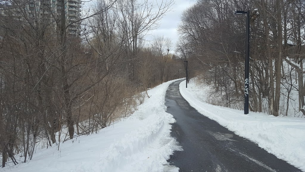 Dallington Park | North York, Toronto, ON M2J 1Y2, Canada | Phone: (416) 338-4386