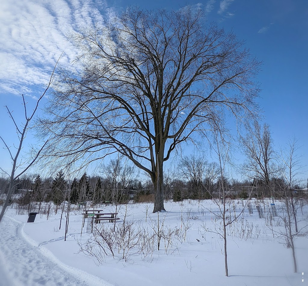 Forêt du 50e | 901 Av. du Parc, Laval, QC H7E 2T7, Canada | Phone: (450) 624-9696