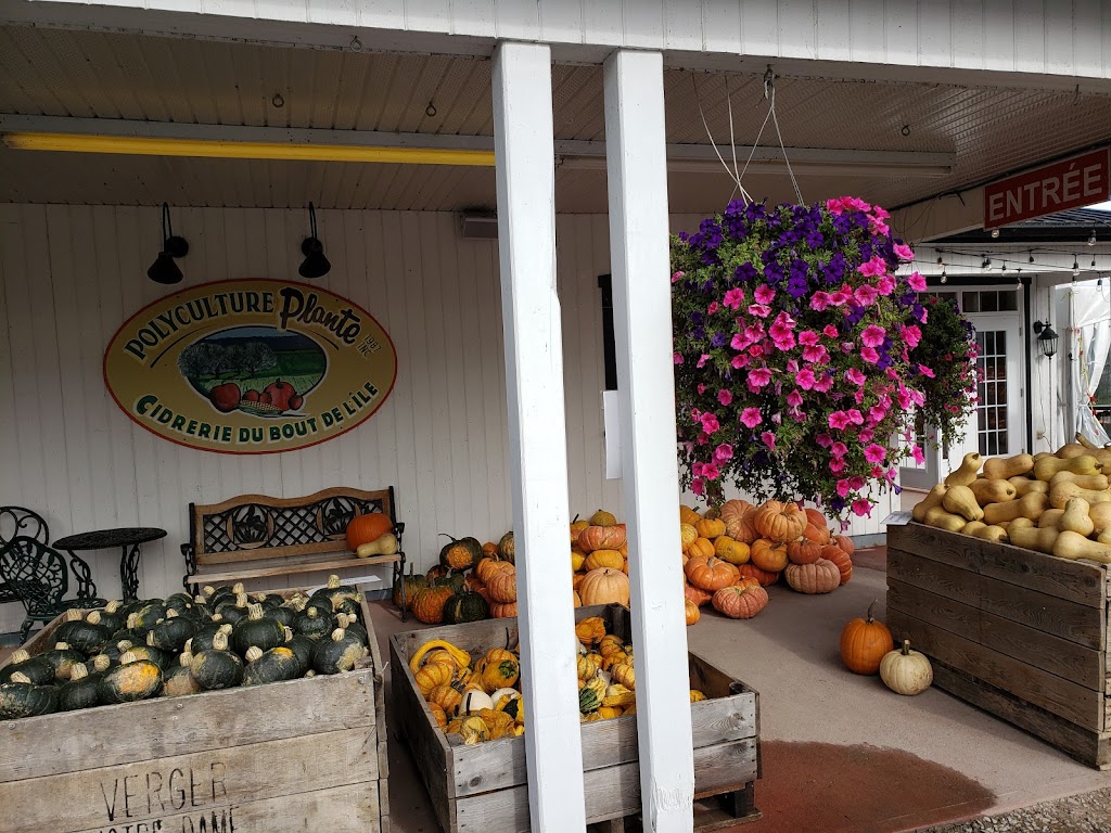 Polyculture Plante 1987 inc. | 8684 Chem. Royal, Sainte-Pétronille, QC G0A 4C0, Canada | Phone: (418) 828-9603