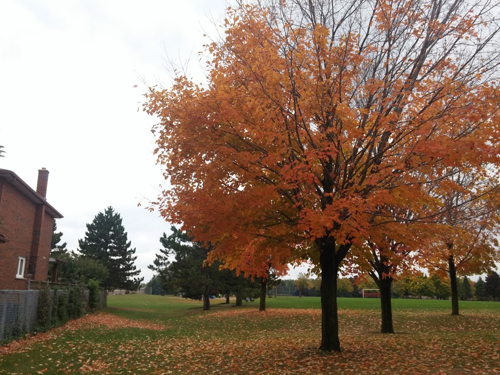 Raybeck Park | 45 Crandall Dr, Markham, ON L3P 6L4, Canada