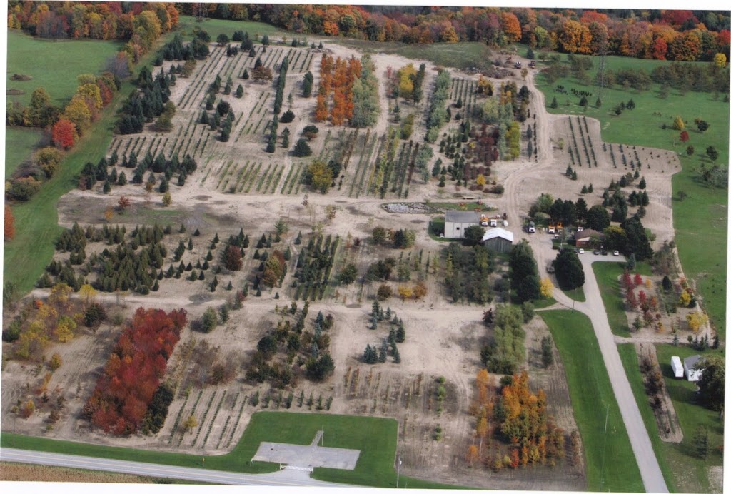 Hall Tree Spading a Division of Beech Nursery Group | 16725 Jane Street, King, ON L7B 0G8, Canada | Phone: (800) 463-1996