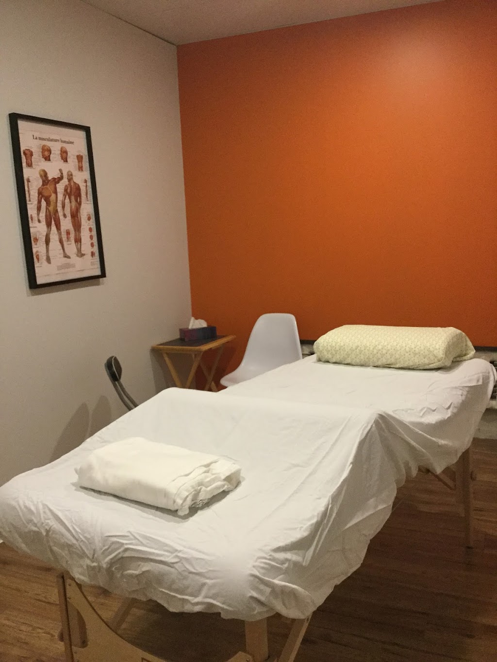 Biànhuà - Acupuncture | 6353 Av. Papineau, Montréal, QC H2G 2X1, Canada | Phone: (514) 913-7705