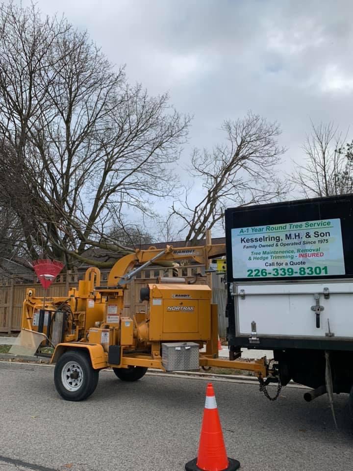 A - 1 Year Round Tree Service | 15 Dunsmere Dr, Kitchener, ON N2E 2H6, Canada | Phone: (226) 339-8301