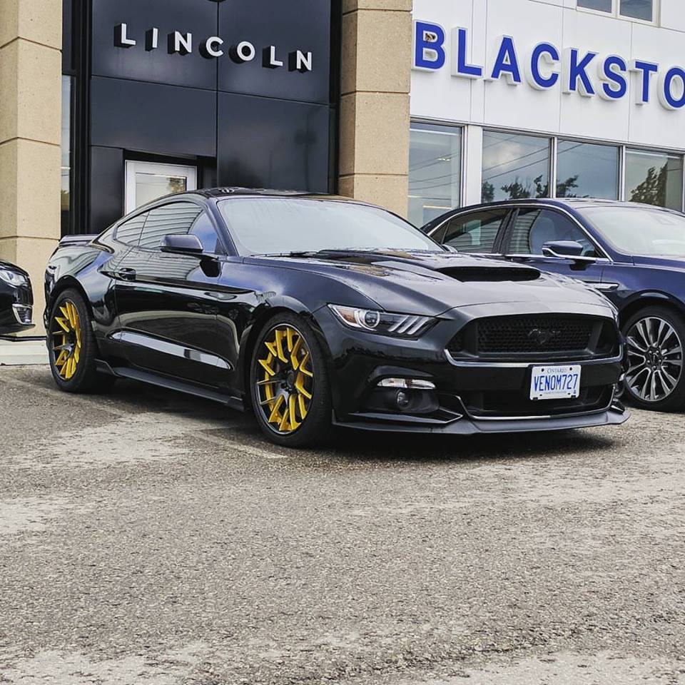 Blackstock Ford Lincoln Sales | 207155 ON-9, Orangeville, ON L9W 2Z6, Canada | Phone: (519) 941-5431