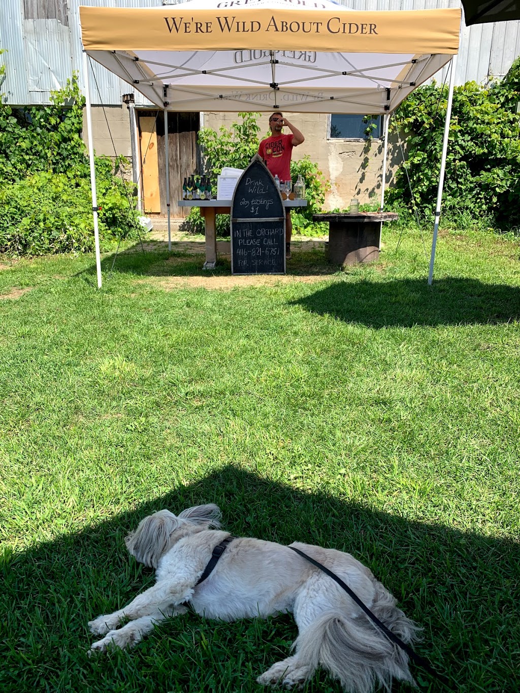 Grey & Gold Cider | 788171, Grey County Rd 13, Clarksburg, ON N0H 1J0, Canada | Phone: (416) 821-6751