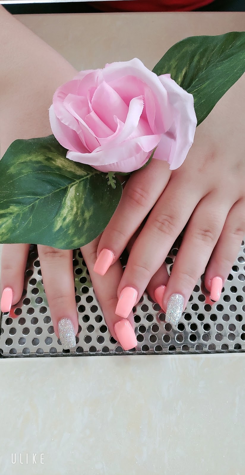 ROSE VI NAILS | 4438 Ontario St, Beamsville, ON L0R 1B5, Canada | Phone: (905) 563-5270