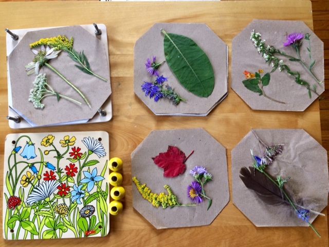Framework Montessori Micro Elementary School | 19 George St, St. Catharines, ON L2R 5N3, Canada | Phone: (289) 707-0322
