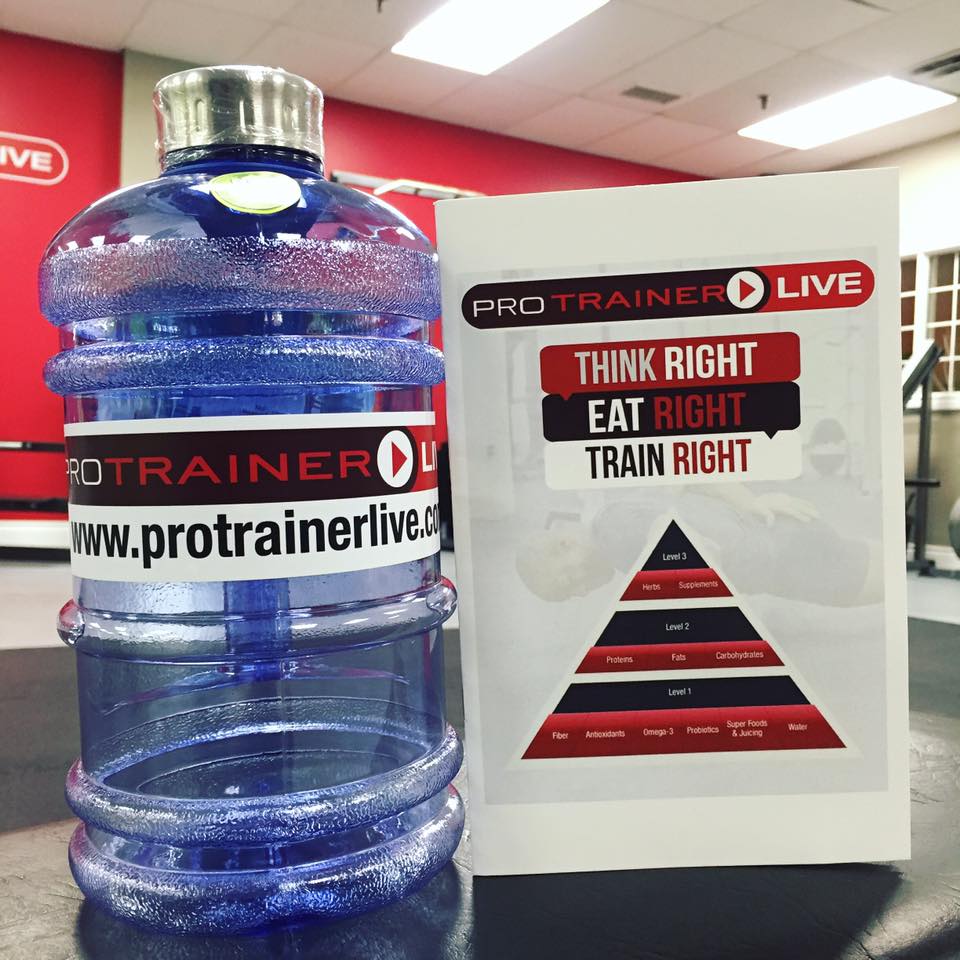 Pro Trainer Live | 2054 Sheppard Ave E, North York, ON M2J 5B3, Canada | Phone: (416) 890-4168