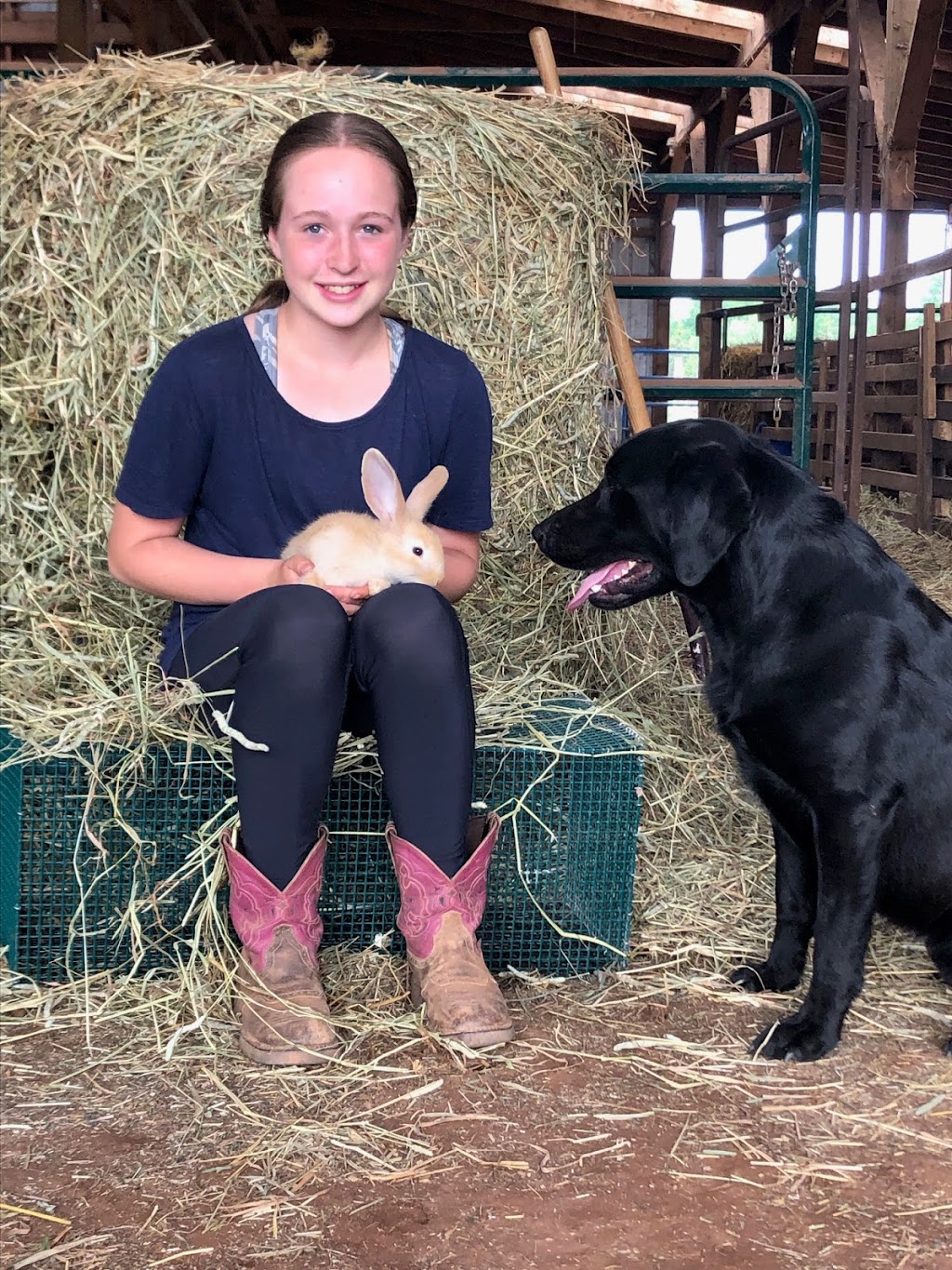 PPH Farms | 260 Maceachern Rd, Mount Herbert, PE C1B 3P7, Canada | Phone: (902) 628-7959