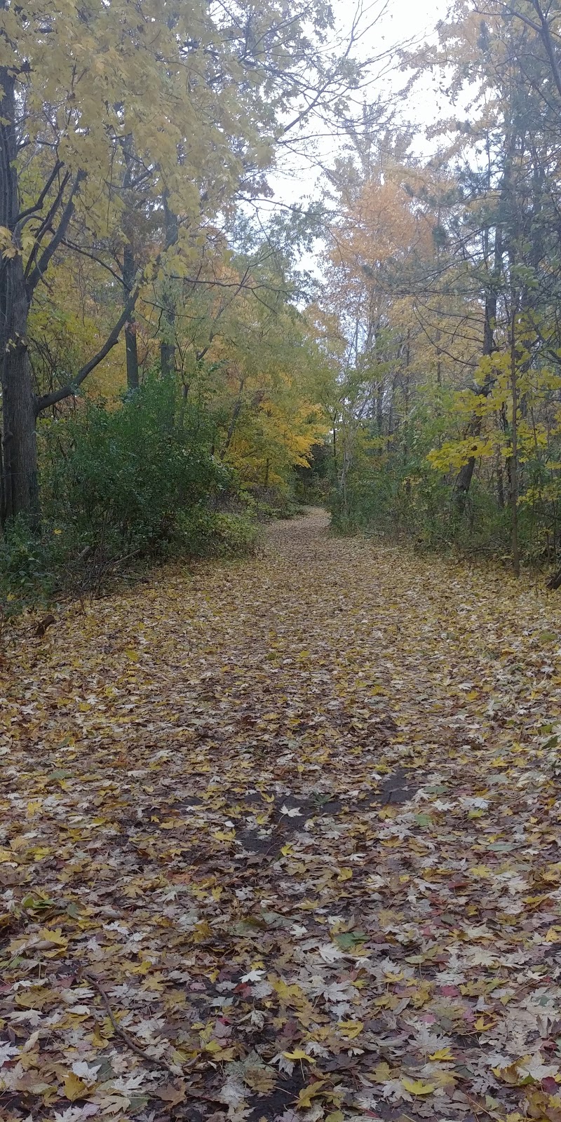 Rockcliffe Gardens Park | 40 Riley St, Waterdown, ON L0R 2H5, Canada