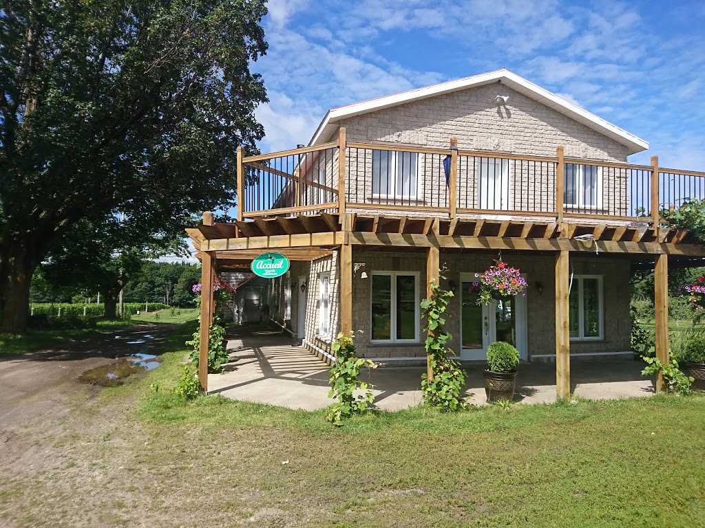Vignoble du marathonien | 318 QC-202, Havelock, QC J0S 2C0, Canada | Phone: (450) 826-0522
