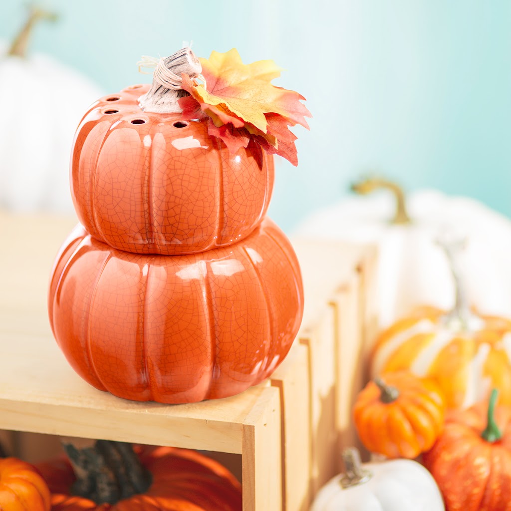 Terri-Lyn Independent Scentsy Consultant | 302 Johnston Rd, Kemptville, ON K0G 1J0, Canada | Phone: (613) 293-0271