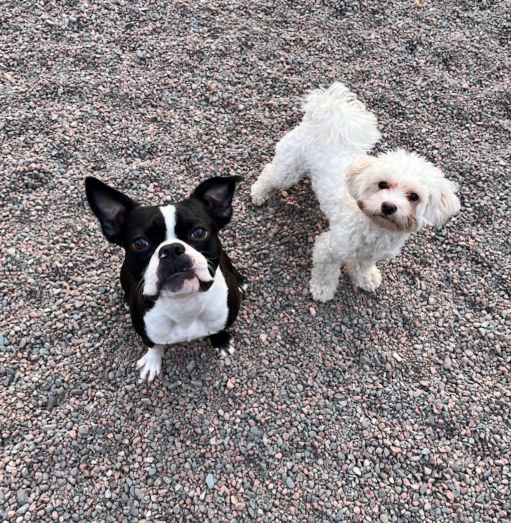 Eastern Dawn Kennels | 4884 Murray Harbour Rd, Vernon Bridge, PE C0A 2E0, Canada | Phone: (902) 651-2309