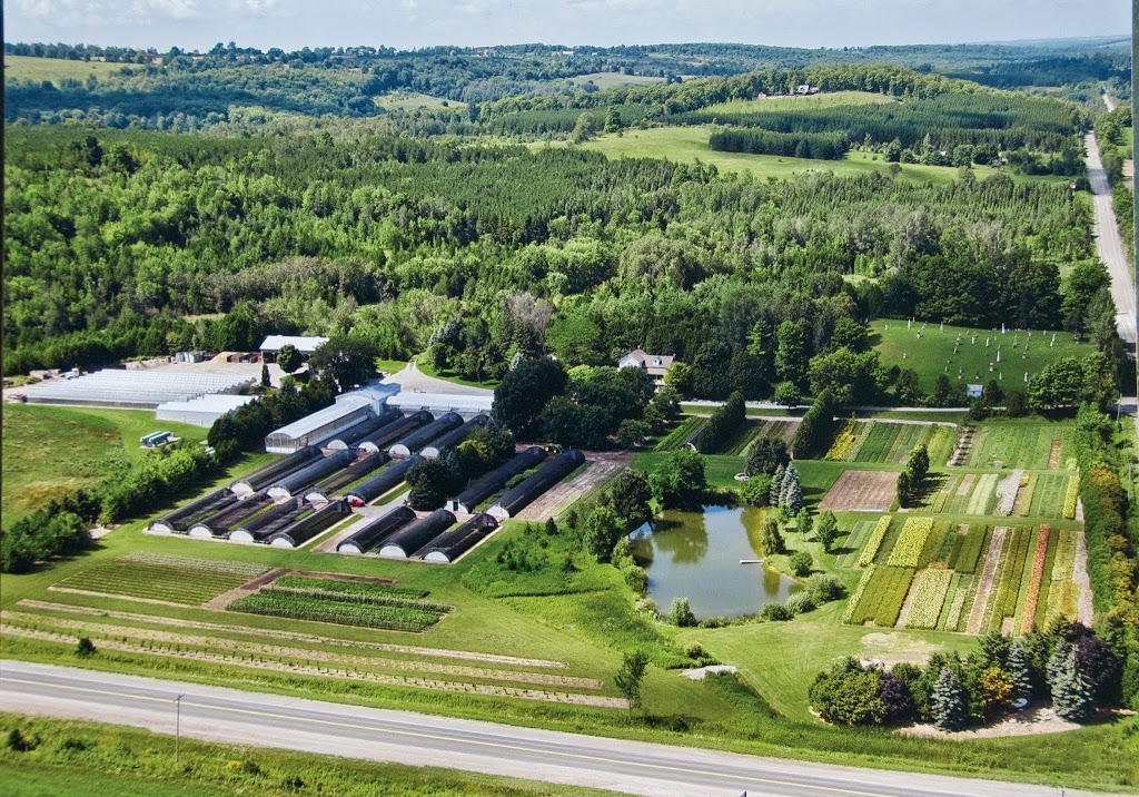 Ground Covers Unlimited | 1045 Porter Rd, Bethany, ON L0A 1A0, Canada | Phone: (705) 277-3005