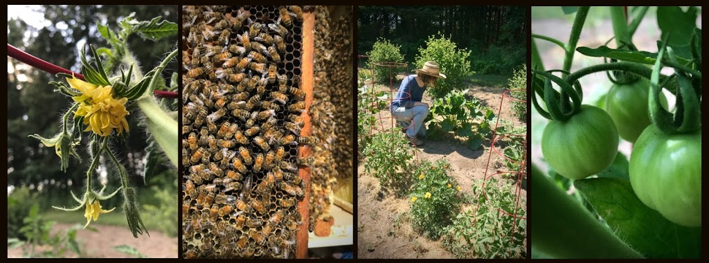 Knoxvilla Farm | 6083 Knoxville Rd, Port Hope, ON L1A 3V8, Canada | Phone: (647) 532-8483