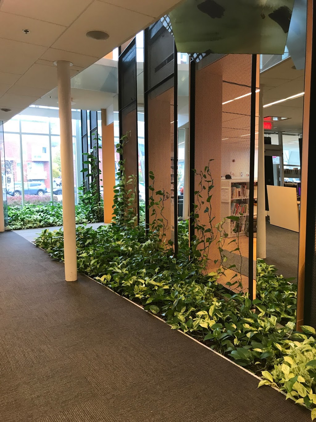Marc-Favreau Library | 500 Boulevard Rosemont, Montréal, QC H2S 0C4, Canada | Phone: (514) 872-7272