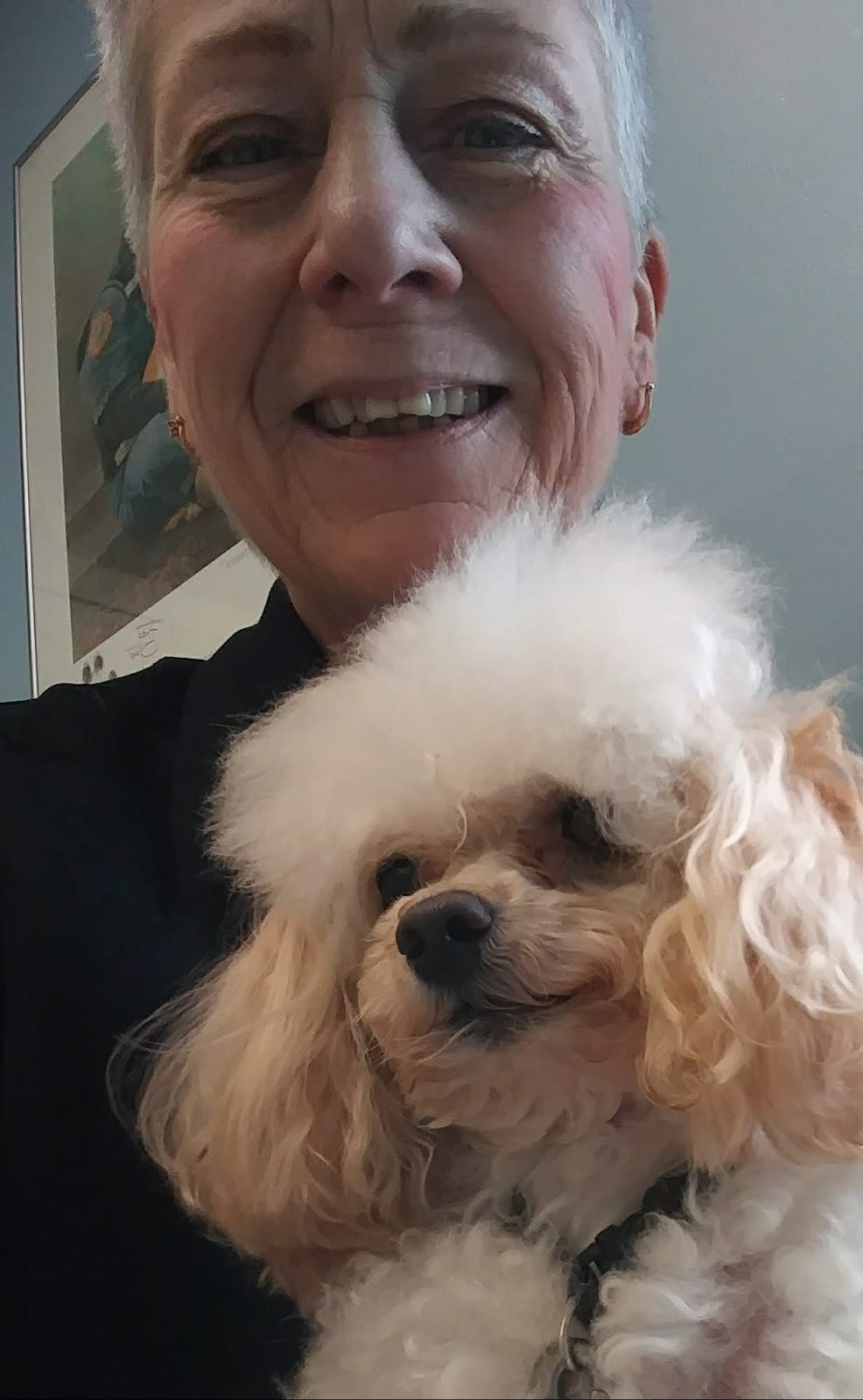 Marysville Veterinary Clinic | 1273 Gratiot Blvd, Marysville, MI 48040, USA | Phone: (810) 388-8800