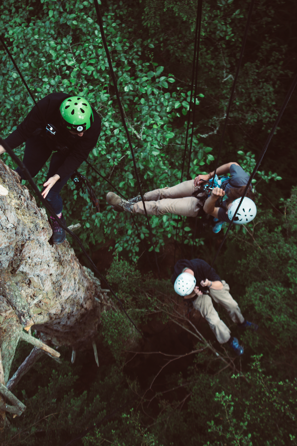 AdventureTerra LLC | 41020 WA-20, Oak Harbor, WA 98277, USA | Phone: (206) 914-8613