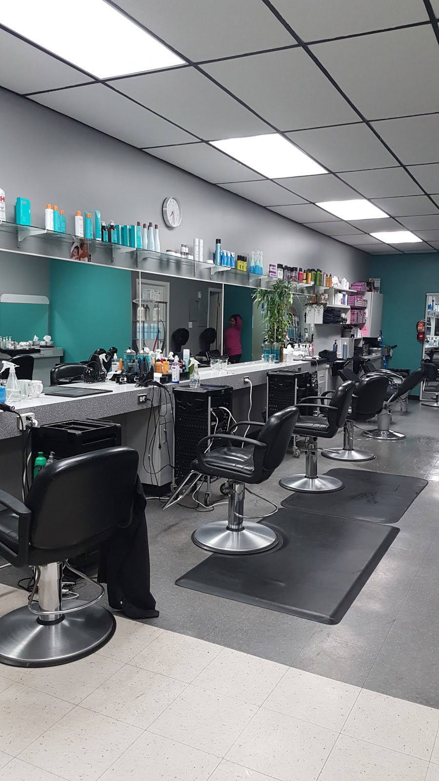Hair Technique | 210 Tyndall Ave, Winnipeg, MB R2R 1S5, Canada | Phone: (204) 633-4895