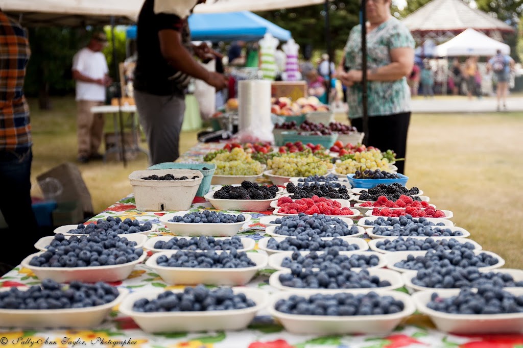 Crowsnest Community Market | 13019 20 Ave, Blairmore, AB T0K 0E0, Canada | Phone: (403) 526-8167