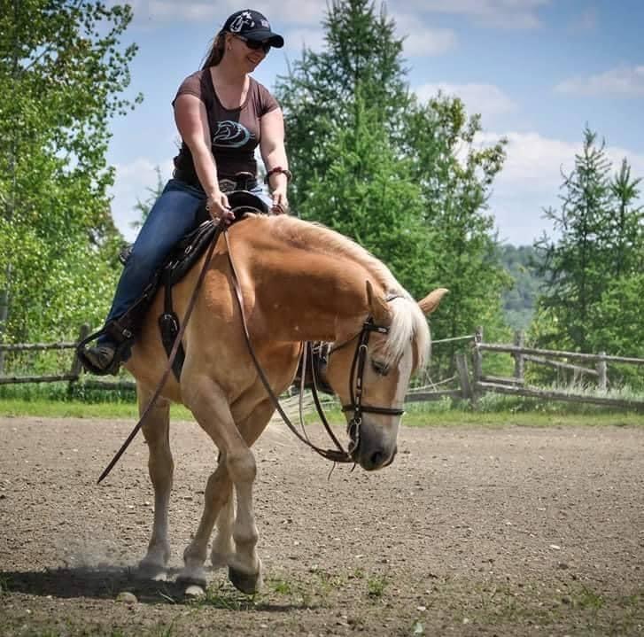 Écurie Andréane Stables | Chem. Dustin, Stanstead-Est, QC J0B 1C0, Canada | Phone: (819) 349-6912