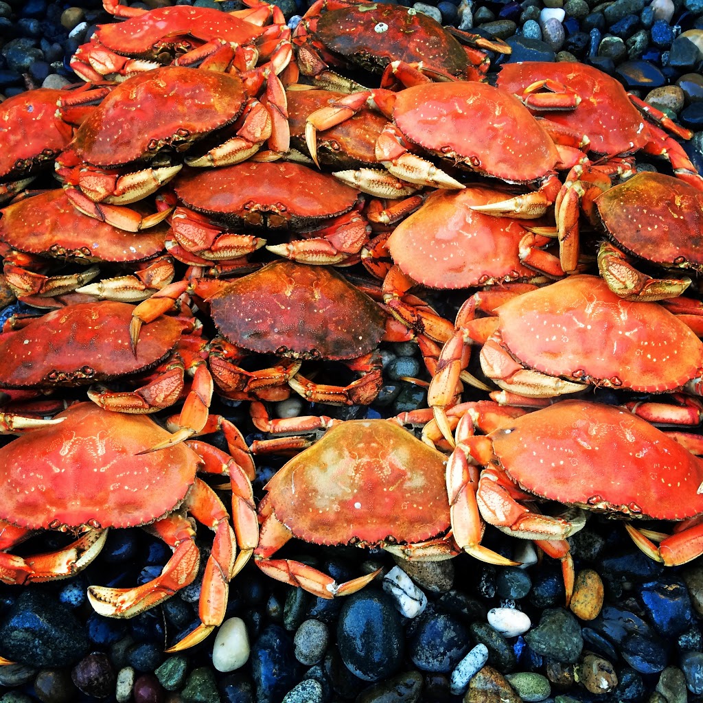 Alice Bay | 11794 Scott Rd, Bow, WA 98232, USA | Phone: (360) 708-7535