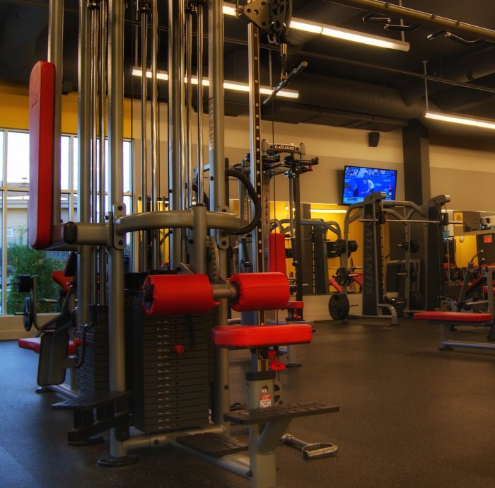 GYM SAINT SAUVEUR INC. | 700 Chemin Jean-Adam #130, Piedmont, QC J0R 1R3, Canada | Phone: (450) 227-4496
