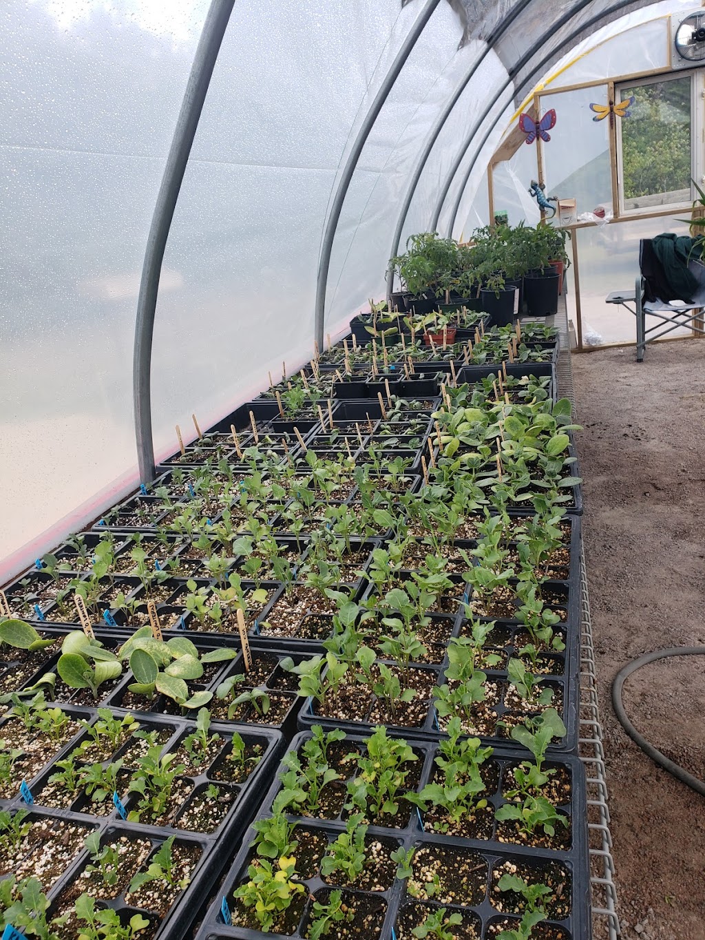 Gayles Greenhouse | point of interest | 38123 Belair Rd, Bélair, MB R0E 0E0, Canada | 2046192186 OR +1 204-619-2186