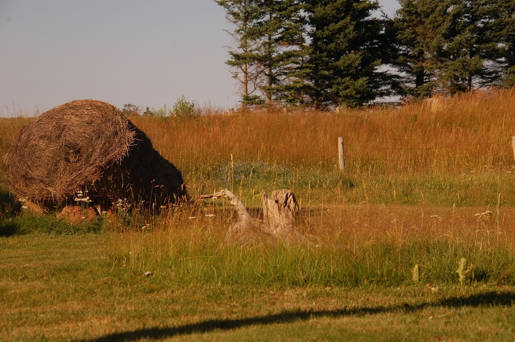 Goodview Cottages By Stanhope Beach | 1319 Gulf Shore Pkwy E, York, PE C0A 1P0, Canada | Phone: (902) 316-6039