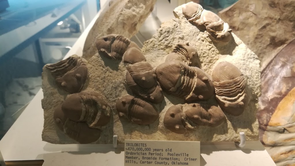 Robert B. Ferguson Museum of Mineralogy | 125 Dysart Rd, Winnipeg, MB R3T 2M7, Canada | Phone: (204) 474-9371