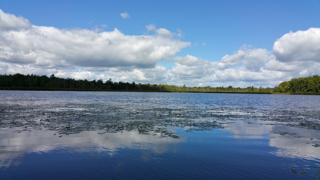 Valens Lake Conservation Area | 1691 Regional 97 Rd, Cambridge, ON N1R 5S7, Canada | Phone: (905) 525-2183