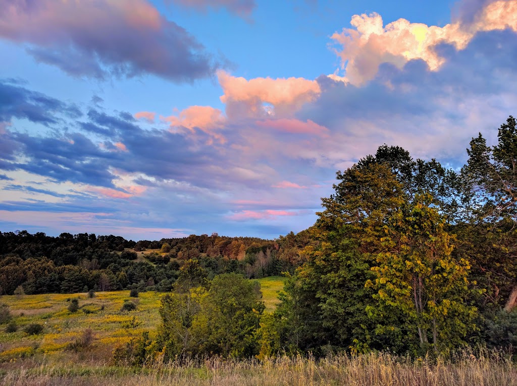 Countryside Preserve | Uxbridge, ON L9P 1R4, Canada
