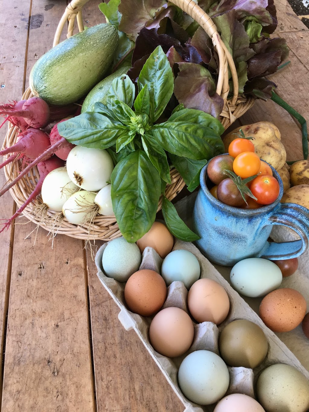 Aslan Organics | 3832 Michigan Line, Camlachie, ON N0N 1E0, Canada | Phone: (226) 886-2510