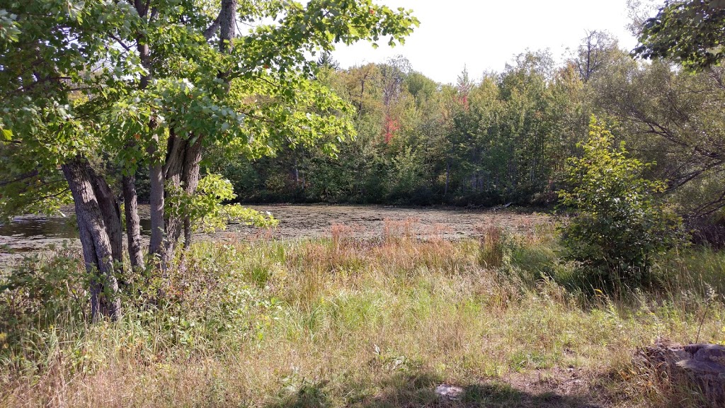 Deerock Lake Conservation Area | 390 Deer Rock Lake Rd, Flinton, ON K0H 1P0, Canada | Phone: (613) 968-3434