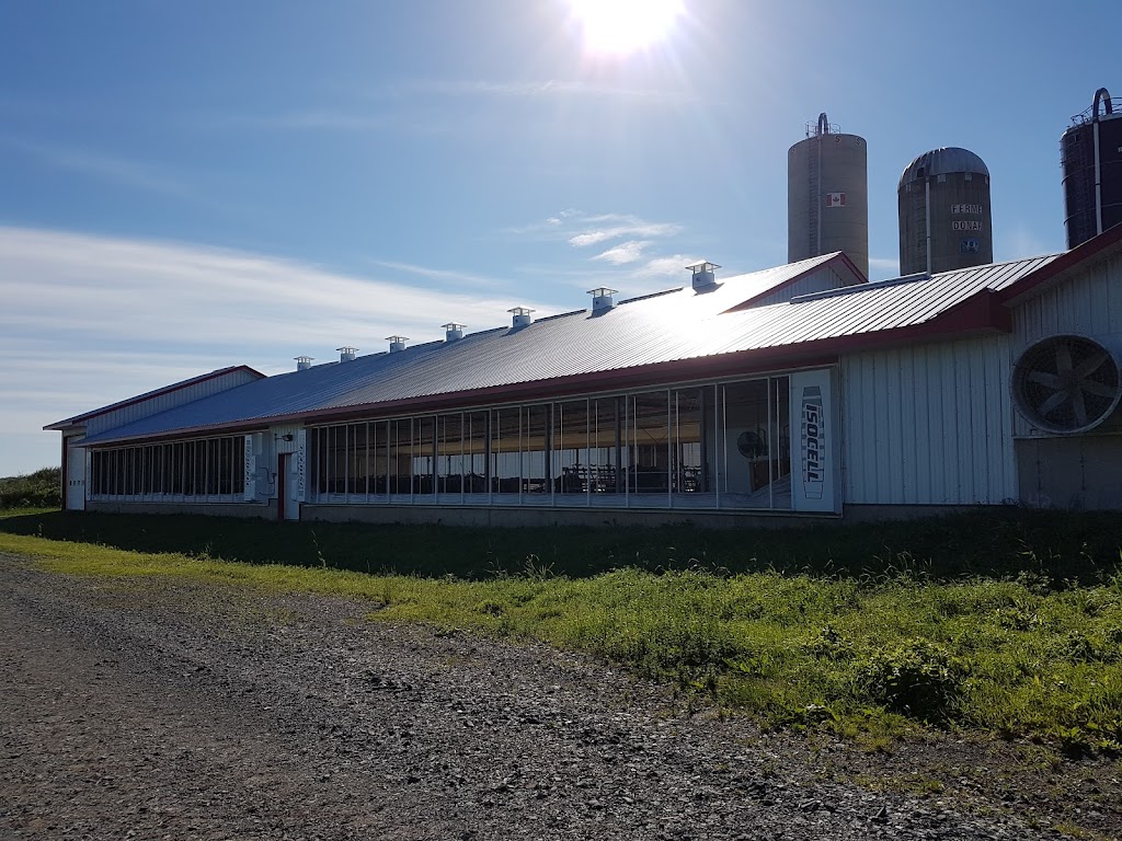 Construction S.B. | 165 10e Rang Ouest, Lefebvre, QC J0H 2C0, Canada | Phone: (819) 471-6065