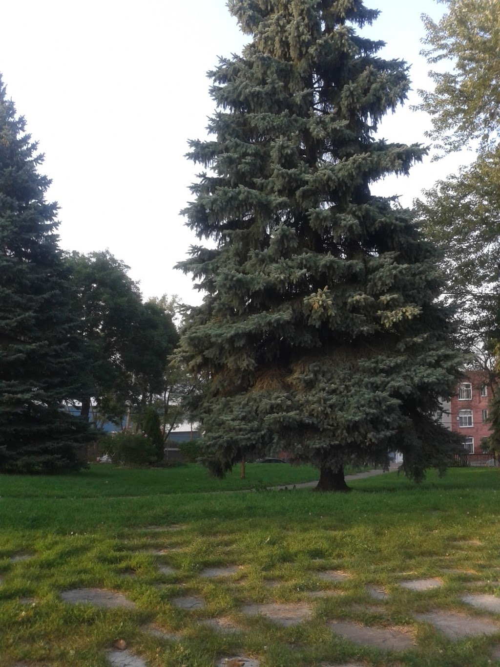 Parc des Métallos | Rue Jacques Hertel, Montréal, QC H4E 2Y3, Canada
