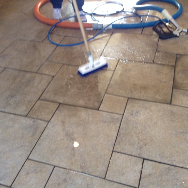 Maple Ridge Carpet Cleaning Service - New client Discount | 18975 Ford Rd, Pitt Meadows, BC V3Y 1X1, Canada | Phone: (778) 829-4557
