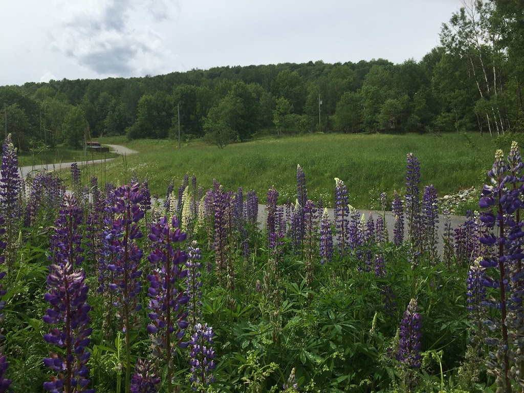 Plateau Massawippi | Rue des Méandres, Memphrémagog, QC J0B 2C0, Canada | Phone: (819) 446-5858