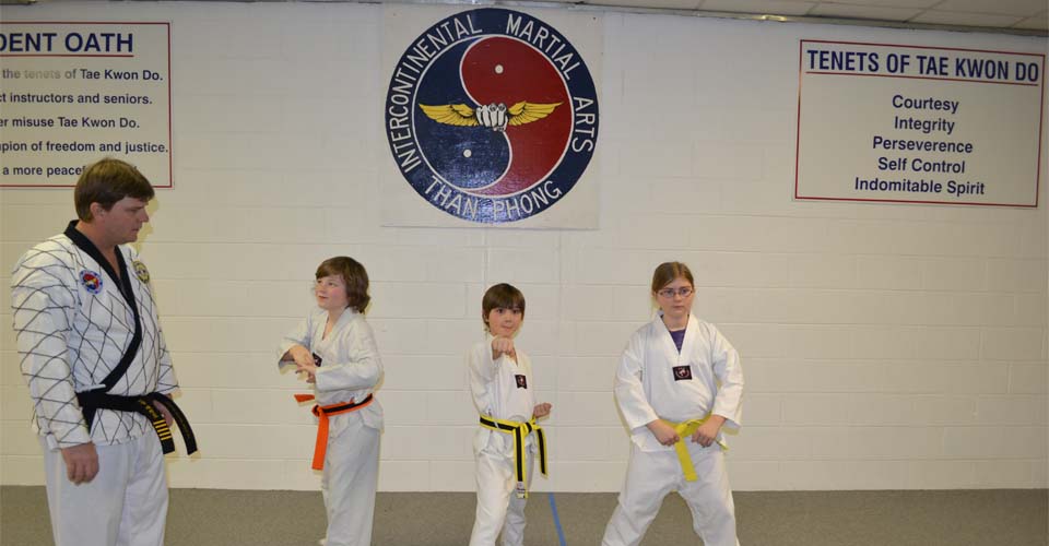 Than Phong Tae Kwon Do Peterborough | Crestwood Secondary School, Small Gym, Peterborough, ON K9J 7K2, Canada | Phone: (705) 749-1407