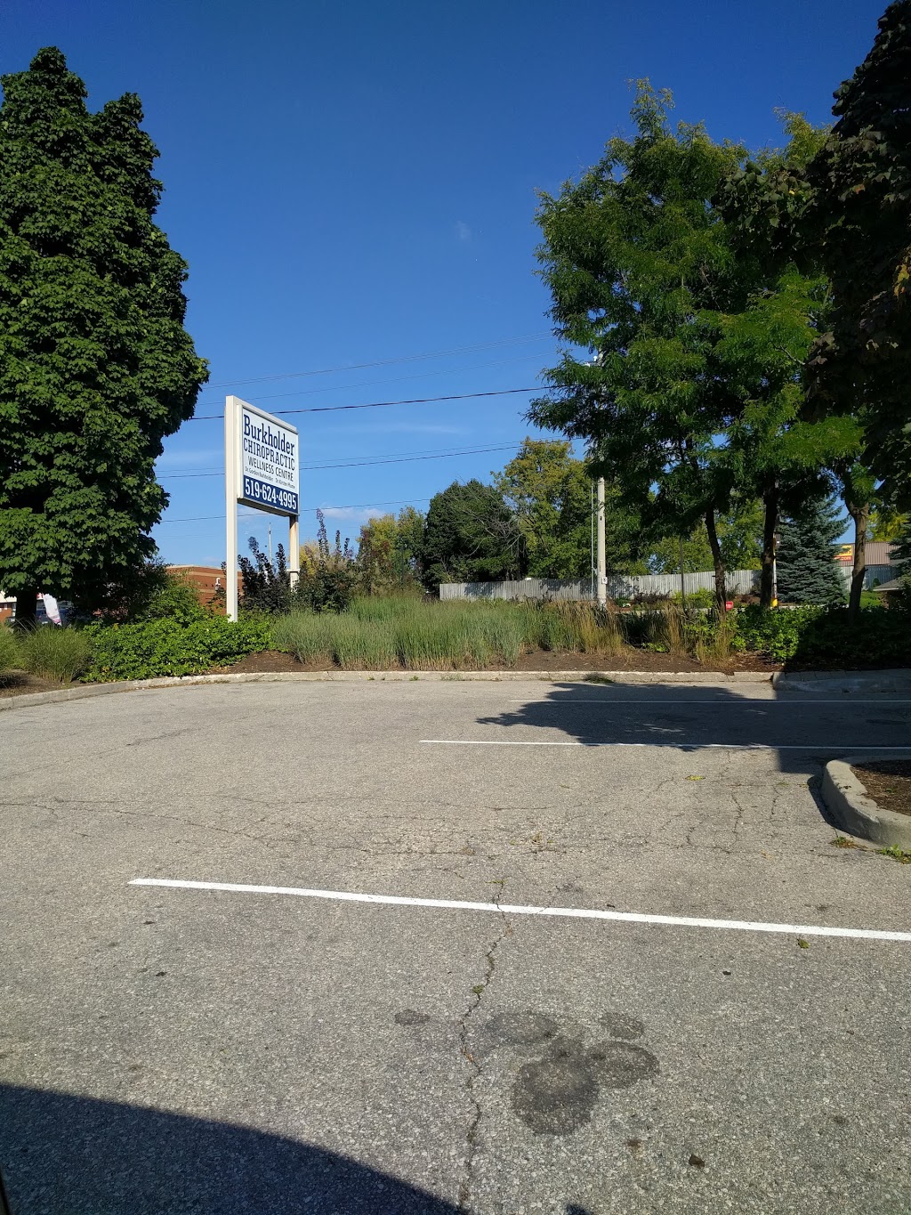 Burkholder Chiropractic Centre | 264 Water St N, Cambridge, ON N1R 3C2, Canada | Phone: (519) 624-4995