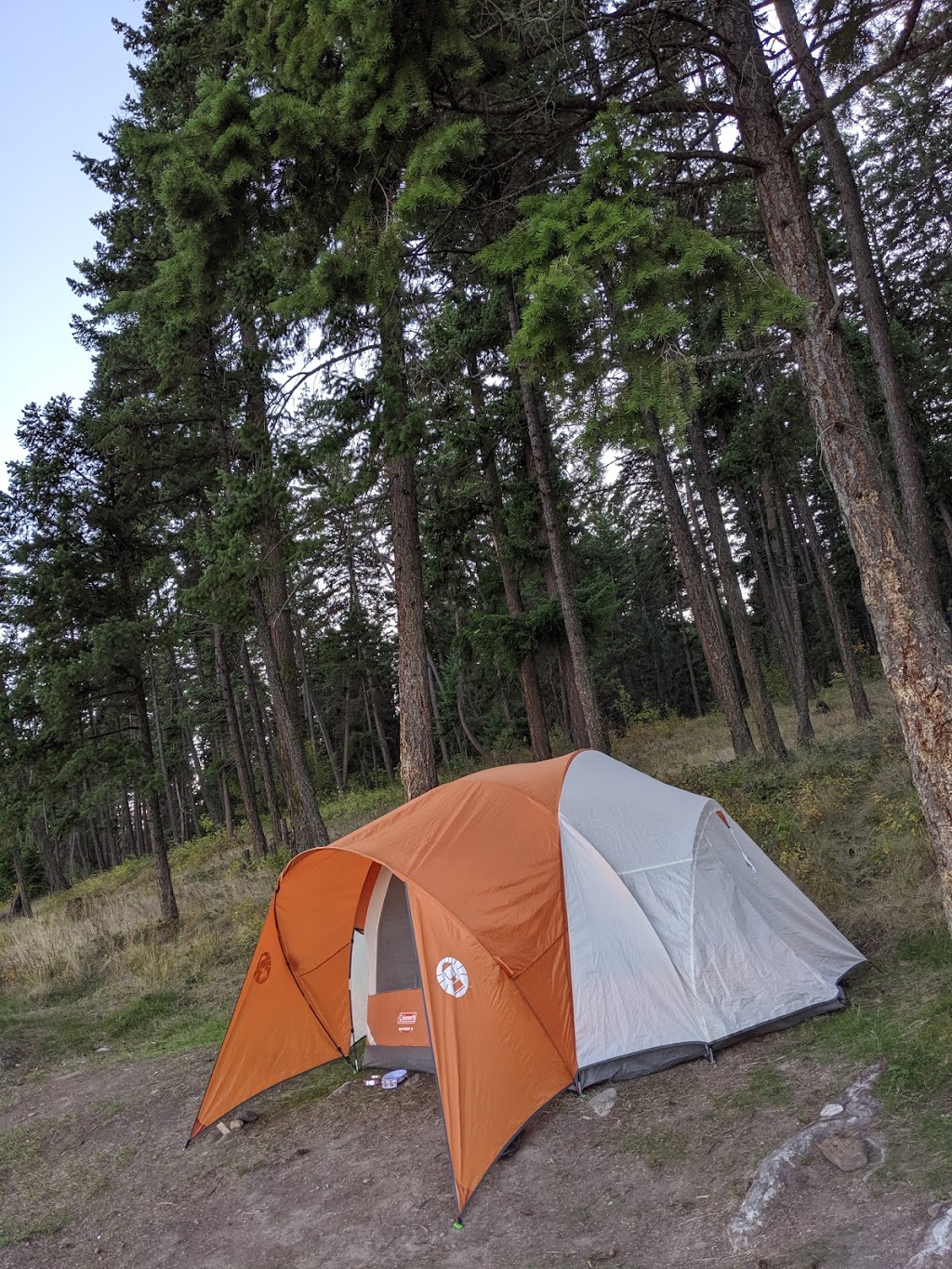Niskonlith Lake Provincial Park | 104 Leighton Ave, Chase, BC V0E 1M0, Canada | Phone: (250) 955-0861