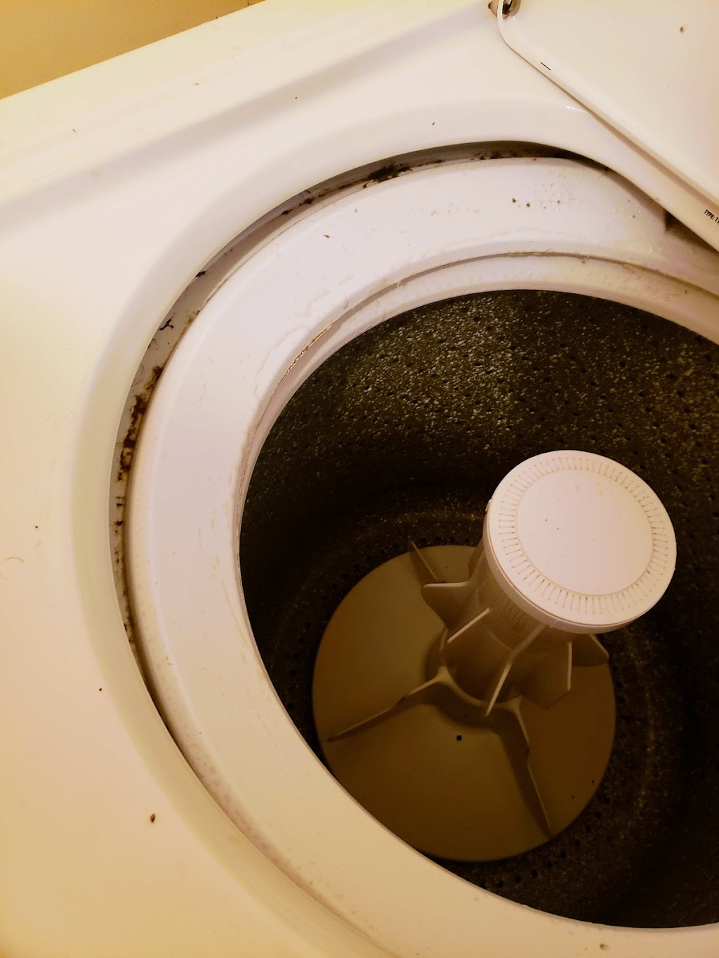 Kleenop Pro Cleaning Services | 52 Jackson Rd Suite A, Dartmouth, NS B3A 4A3, Canada | Phone: (902) 401-6113